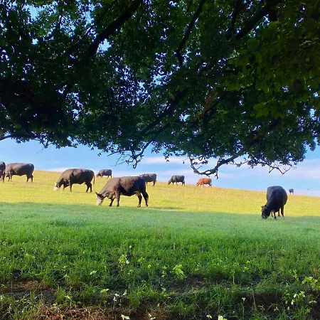 Haus Maria - Naturpark Rhein-westerwald * Isenburg