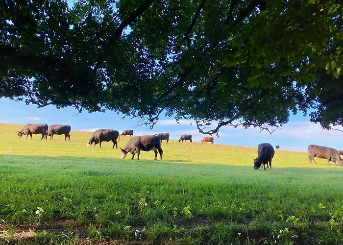 Haus Maria - Naturpark Rhein-westerwald * Isenburg